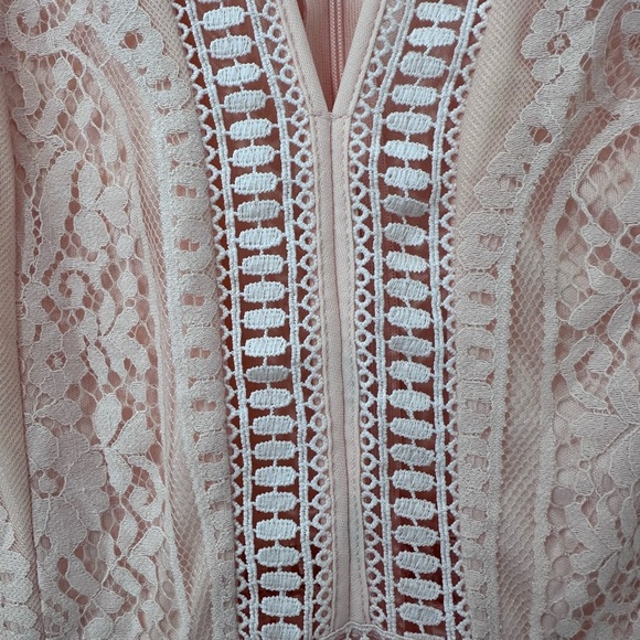 Amazon Elegant Pink Lace Dress - Picture 4 of 9